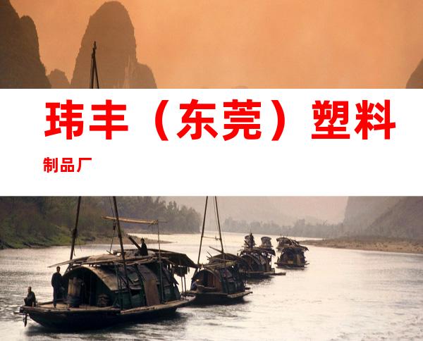 玮丰（东莞）塑料制品厂